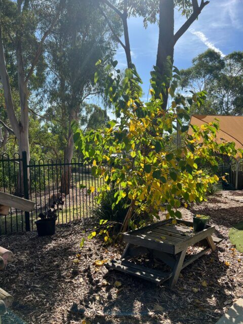 Bimbadeen march 24 working bee 01