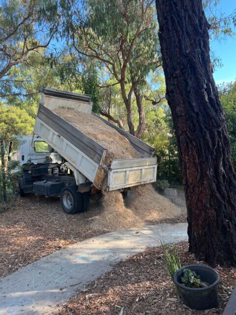 Bimbadeen march 24 working bee 05