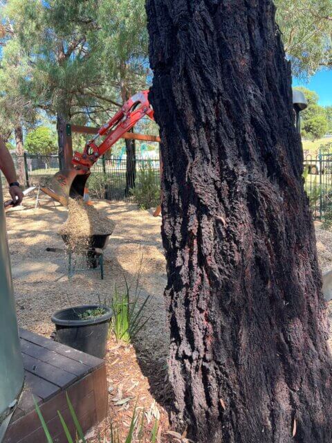 Bimbadeen march 24 working bee 06