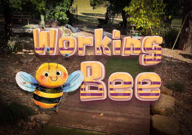 Bimbadeen Pre-School Working Bee