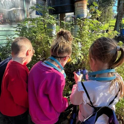 three children investigating the garden