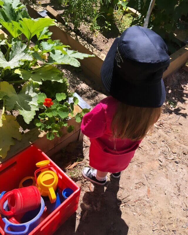 Child looking at green growing garden