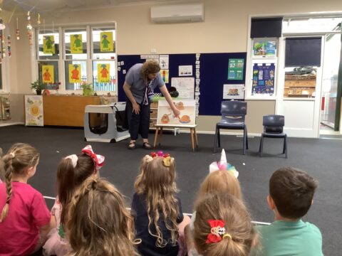 Group of children on carpeted classroom observing a teacher.